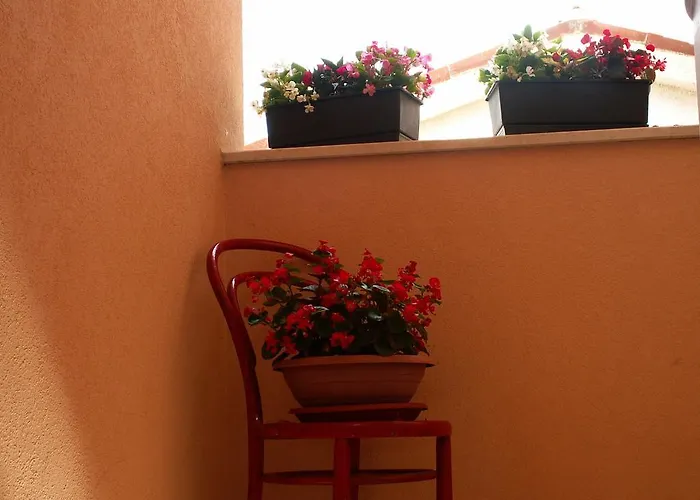 Lejlighed Bartol Pula